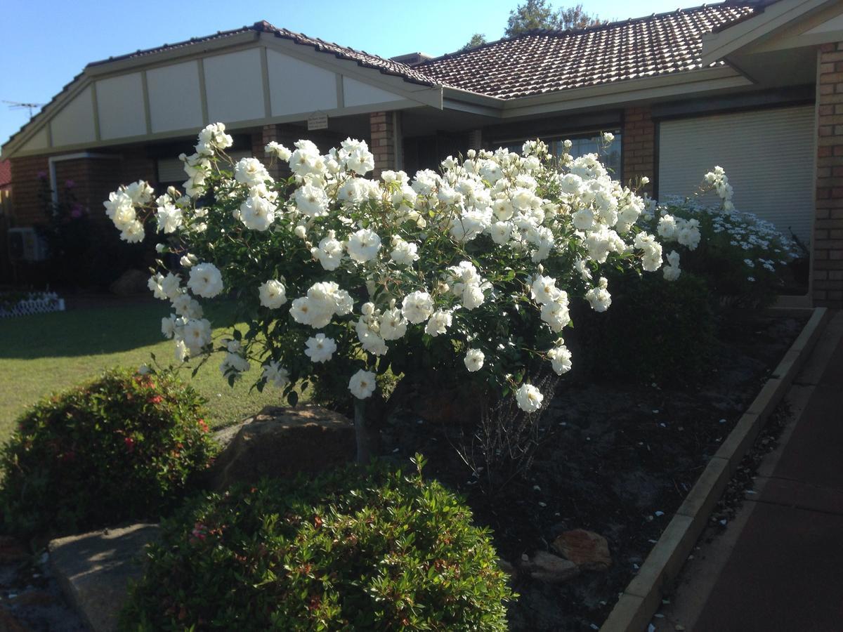 Murdoch Station Bed & Breakfast เพิร์ท ภายนอก รูปภาพ